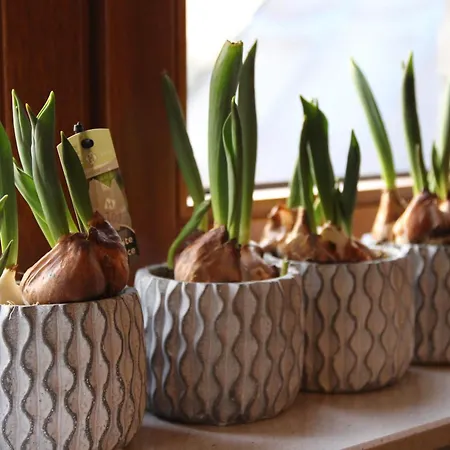 La Casa - Ferien Im Muensterland 公寓 *